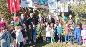 Sinop'un Gerze İlçesinde Ağaçlandırma Etkinliği Düzenlendi