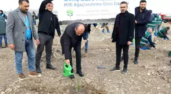 Genç Büro Memur-Sen 11 Kasım'da Fidan Dikti