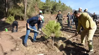 Aydın'da 11 Kasım Milli Ağaçlandırma Günü Etkinliği