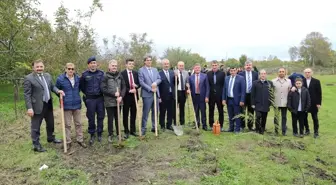 Samsun'da 11 Kasım Milli Ağaçlandırma Günü Etkinlikleri Düzenlendi