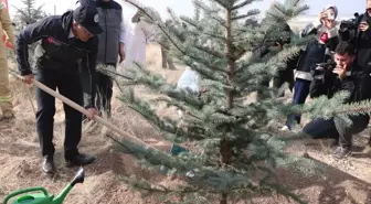 İç Anadolu'da Milli Ağaçlandırma Günü'nde binlerce fidan toprakla buluşturuldu