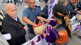 Ordulular Kadıköy'de Yöresel Kıyafetlerle Fındık Dağıttı