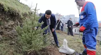 Kağıthane Belediyesi 50 Bin Ağaç Dikti