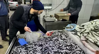 Karadeniz'de Hamsi Fiyatları Yükseliyor: Kilogramı 150 Lira