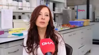 Köpek Mamalarına Nar Kabuğu ve Posası Ekleniyor