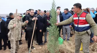 Midyat'ta Milli Ağaçlandırma Günü Etkinliği Düzenlendi