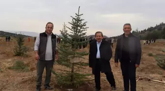 Nallıhan'da 11 Kasım Milli Ağaçlandırma Günü Etkinlikleri Düzenlendi