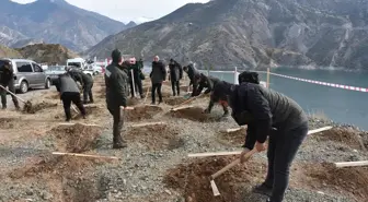 Orta ve Doğu Karadeniz'de fidanlar toprakla buluşturuldu