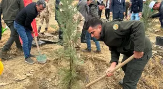 Sincik'te Milli Ağaçlandırma Günü Etkinliği Düzenlendi