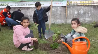 Amasya'da 11 Kasım Milli Ağaçlandırma Günü Etkinlikleri