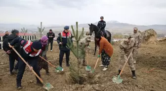 Van ve Bitlis'te Milli Ağaçlandırma Günü Kutlandı