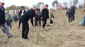 Tekirdağ'da Milli Ağaçlandırma Günü Fidan Dikimi