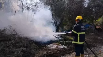 Hatay'da Zeytinlik Alanda Yangın Çıktı