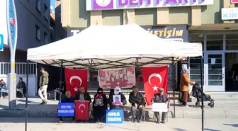 Muş'ta Ailelerin Dağa Kaçırılan Çocukları İçin Eylemi Devam Ediyor