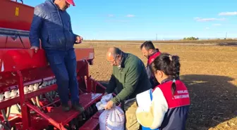 Lüleburgaz'da Yerli Yulaf Çeşitleri İçin Demonstrasyon Sahası Kuruldu