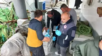 Sinop'ta Su Ürünleri Kontrol Denetimleri Yapıldı