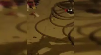 Çekmeceye Giren Yılan Paniğe Neden Oldu