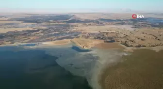 Eber Gölü'ndeki Yangınlar Çevre Felaketine Neden Oldu