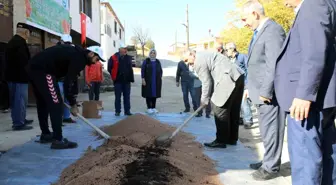 Elazığ'da Organik Mercimek Üretiminde Artış