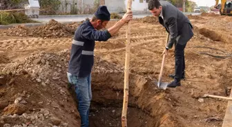 Erbaa Belediyesi Yılmaz Kayalar Bulvarı'nda 350 Huş Ağacı Fidanı Dikti