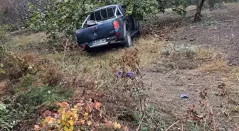 Bursa'da Mevsimlik İşçileri Taşıyan Kamyonet Ağaçla Çarpıştı: 1 Ölü, 7 Yaralı