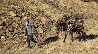 Sonbaharın Renkleri Fotoğraf Tutkunlarını Bitlis'te Buluşturdu