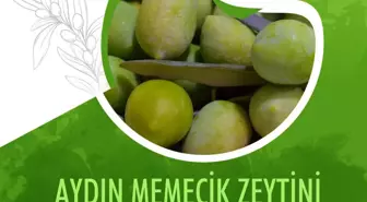 Aydın Memecik Zeytini, Avrupa Birliği'nde Tescil Sürecinin Son Aşamasına Geldi