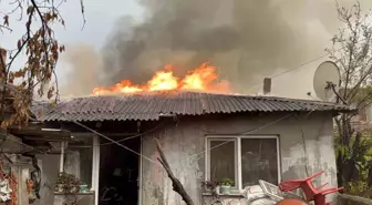 Edirne'de Bacadan Çıkan Yangın Gecekondoyu Kül Etti, Bir Kişi Dumandan Etkilendi