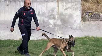 İHH Arama Kurtarma Köpeği Bozo, Sınavda Birinci Oldu