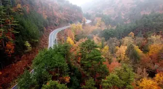 Kazdağları'nda Sonbahar Renk Cümbüşü