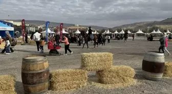 Ürgüp'te İlk Kez 'At Festivali' Düzenlendi