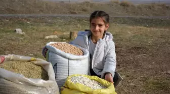 Ata Tohumları ile Ekonomisini Güçlendiriyor