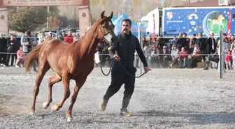 Ürgüp’te En Güzel Atlar Yarıştı