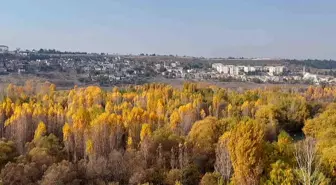 Diyarbakır Hevsel Bahçeleri'nde Sonbahar Renk Cümbüşü