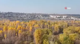 Diyarbakır Hevsel Bahçeleri'nde Sonbahar Renkleri