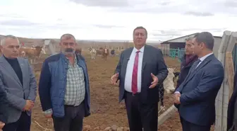 CHP'li Ömer Fethi Gürer: 'Yetkililer 'Sorun Yok' Diyor, Ama Son 2 Yılda Türkiye 1 Milyon 200 Bin Hayvan İthal Etti'