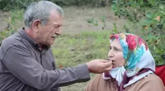 Eşinin rahatsızlığı için ekti, şimdi siparişlere yetişemiyor
