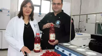Kayseri Üniversitesi'nden Gilaburu Şerbetine Patent Başvurusu