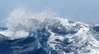 Kıyamet balığı nedir, kıyamet balığı görüldü mü?