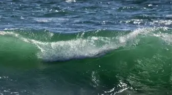 Kürek balığı görüldü mü, kürek balığı nerede görüldü?