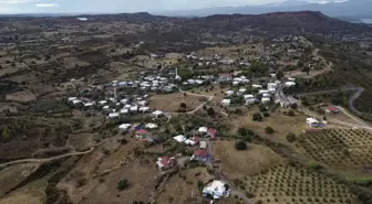 Manavgat'taki Orman Yangını Sonrası Doğa Yeniden Canlanıyor