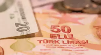 Yeni 5 ve 50 TL'lik banknotlar tedavüle çıktı