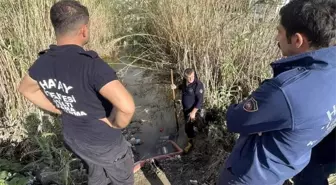 Samandağ'da Mahsur Kalan Yavru Köpekler İtfaiye Tarafından Kurtarıldı