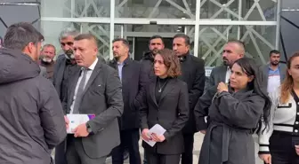 Van Barosu, Rojin Kabaiş'in Adli Tıp Raporuna İlişkin Açıklama Yaptı