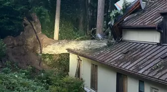 Bomba Siklonu ABD'nin Kuzeybatısında Can Kayıplarına Neden Oldu