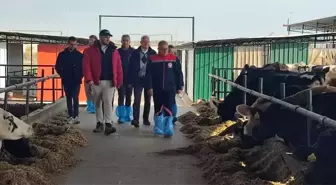 Aydın'da Çiftlikler İncelendi, Hayvancılık Gelişiyor