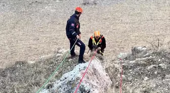 Muş'ta Mahsur Kalan Keçiler AFAD Ekipleri Tarafından Kurtarıldı