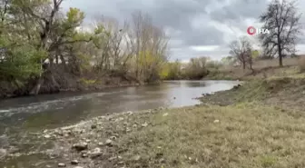 Edirne'de Tunca Nehri'nde Kuraklık Alarmı