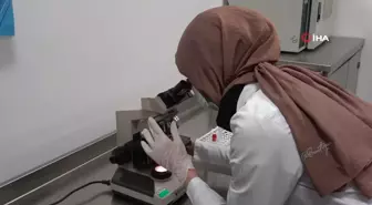 Van'da Tüp Bebek Merkezi İlk Aşılama İşlemini Başarıyla Tamamladı