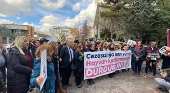 Ankara Barosu Hayvan Hakları Merkezi'nden 'Katliam Yasası'na Protesto